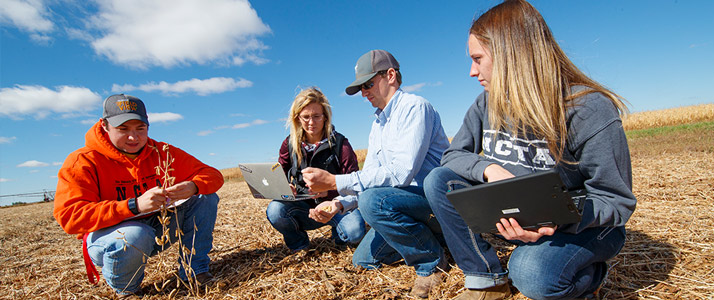 Students sitting in field looking at data
